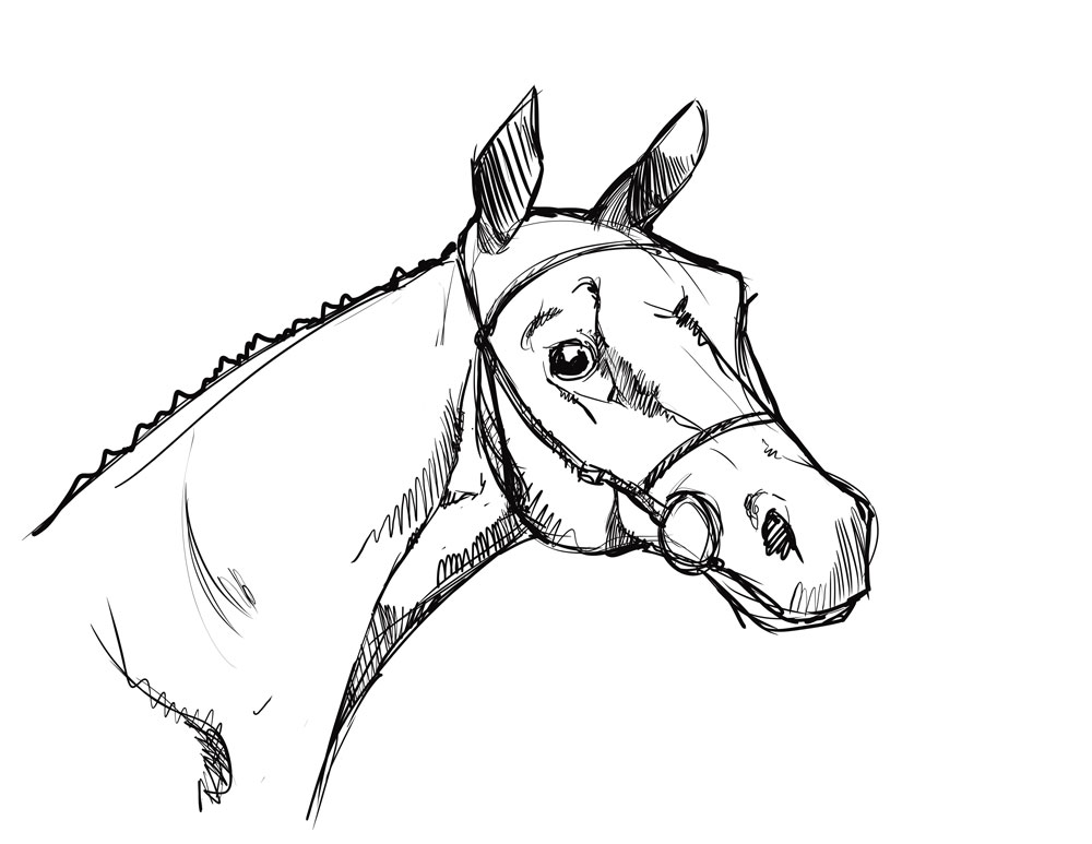 horse-1