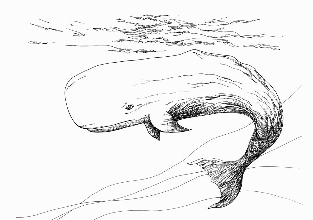 whalepenandink