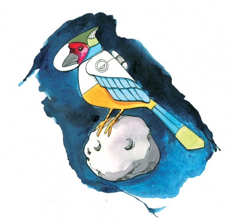 spacebird